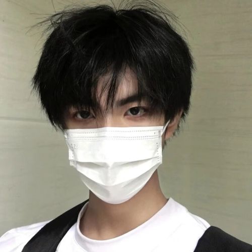 绿野客假发男士假发碎盖 假发男短发自然微分碎盖齐刘海短直发韩版