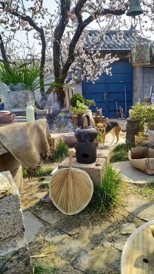 如果你在农村有一个老院子,千万不要荒废了,要这样整起来|老院子_新浪