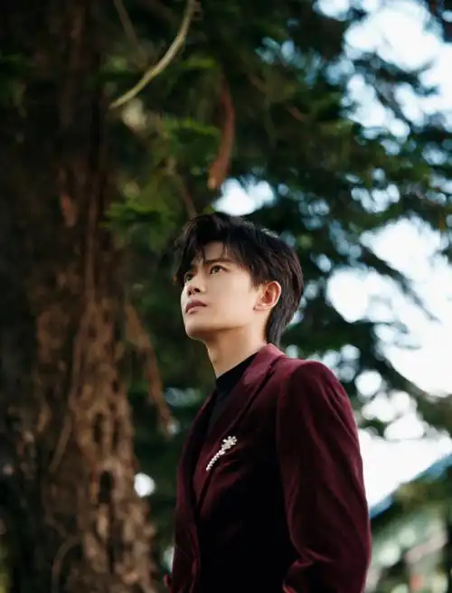 任嘉伦rv活动图