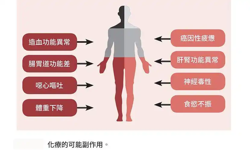 化疗临床可能引起的毒副作用