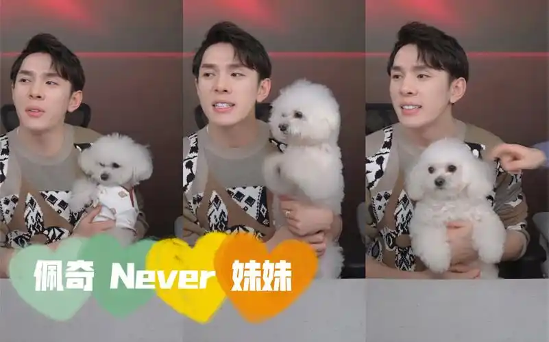 李佳琦never妹妹佩奇