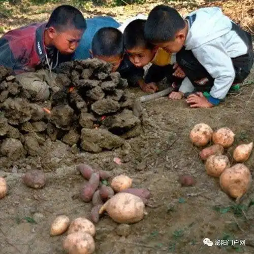 这才是小时候在农村的生活最后一张看着都饿了