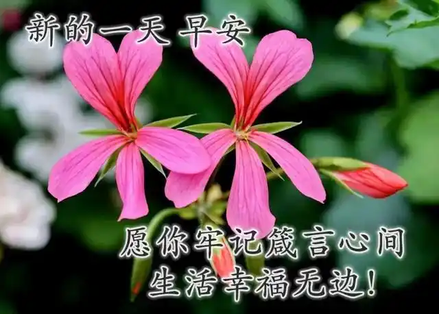 好心情会带来好运气正能量好心态好心情的句子