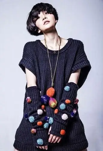 高晓松前妻徐粲金(资料图)