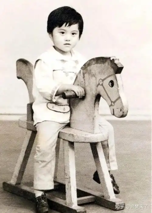 吴奇隆可爱,苏有朋呆萌,林更新搞笑,赵丽颖要哭,刘诗诗从小气质好!