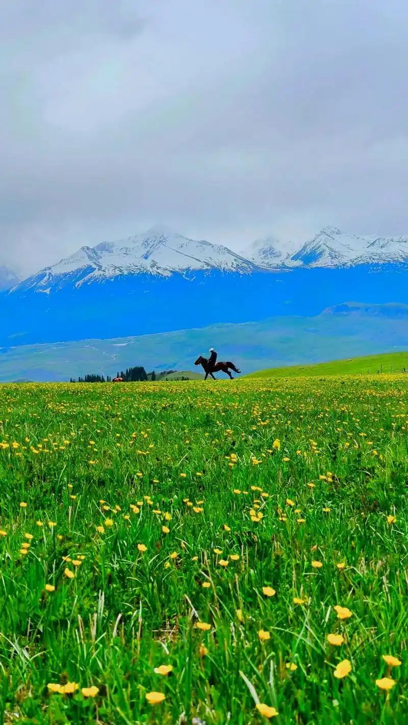 91喀拉峻大草原位于新疆伊犁八卦 - 抖音