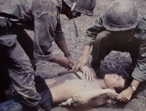 p data-id="gnx3zvp2mi">传说中海豹人selkie,会变形的海豹人也叫