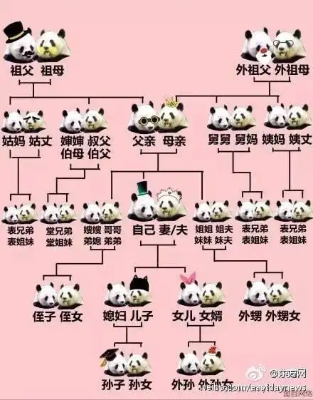 来自东方网 - 微博