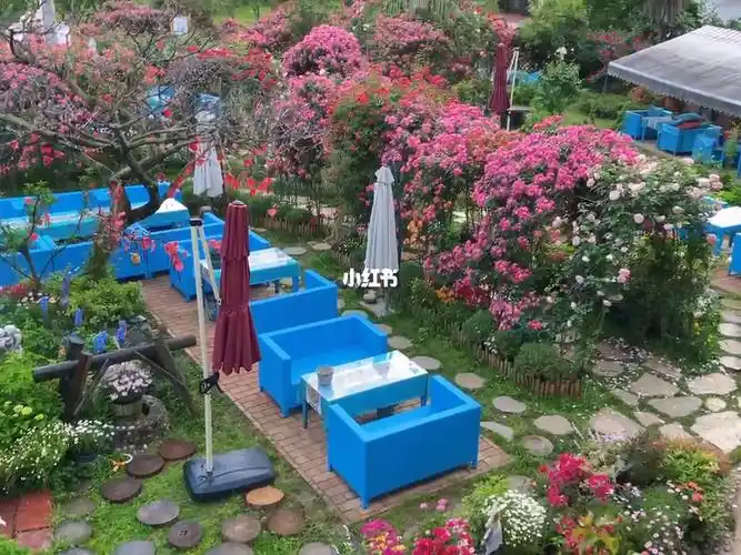 成都网红打卡爱丽丝花园