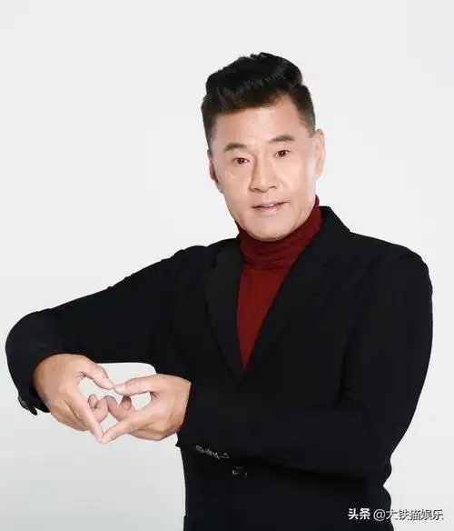 70年代男星有哪些(70年代的男明星有哪些)-天晟网