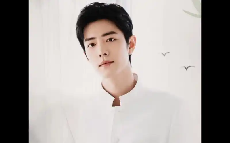 白衣偏偏的少年是我喜欢的肖战