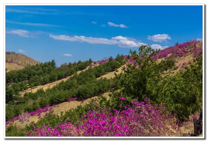 林口大盘道游玩点滴