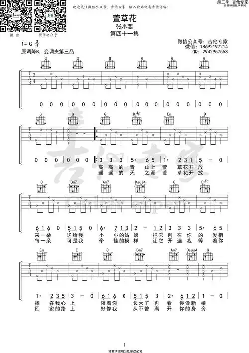 张小斐《萱草花》吉他谱_g调简单版_弹唱_吉他专家_六线谱-吉他粉