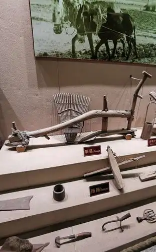 写美篇      产生于原始社会的渔猎时期,是最古老的水上工具之一