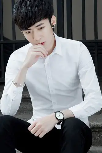 春秋白衬衫男士长袖衬衣修身韩版青年商务纯色寸衫男上班职业工装