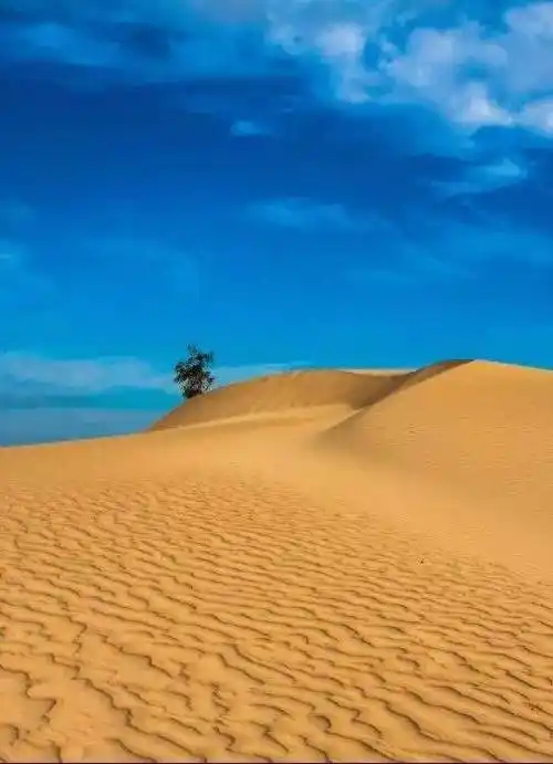 543_750竖版 竖屏