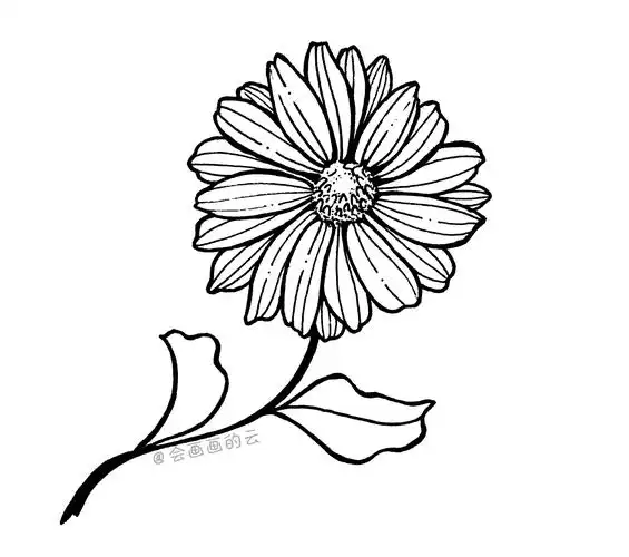三款适合零基础画的小雏菊,简单又好看,而且一只中性笔就可以