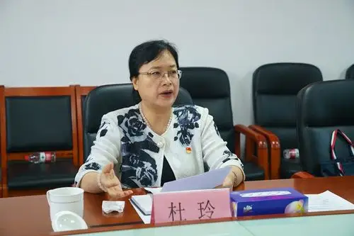 市委常委,市委统战部长杜玲到龙华区召开信访包案专题会议- 工作动态