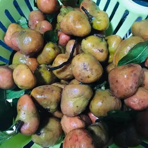 桂木果酱的做法图解1