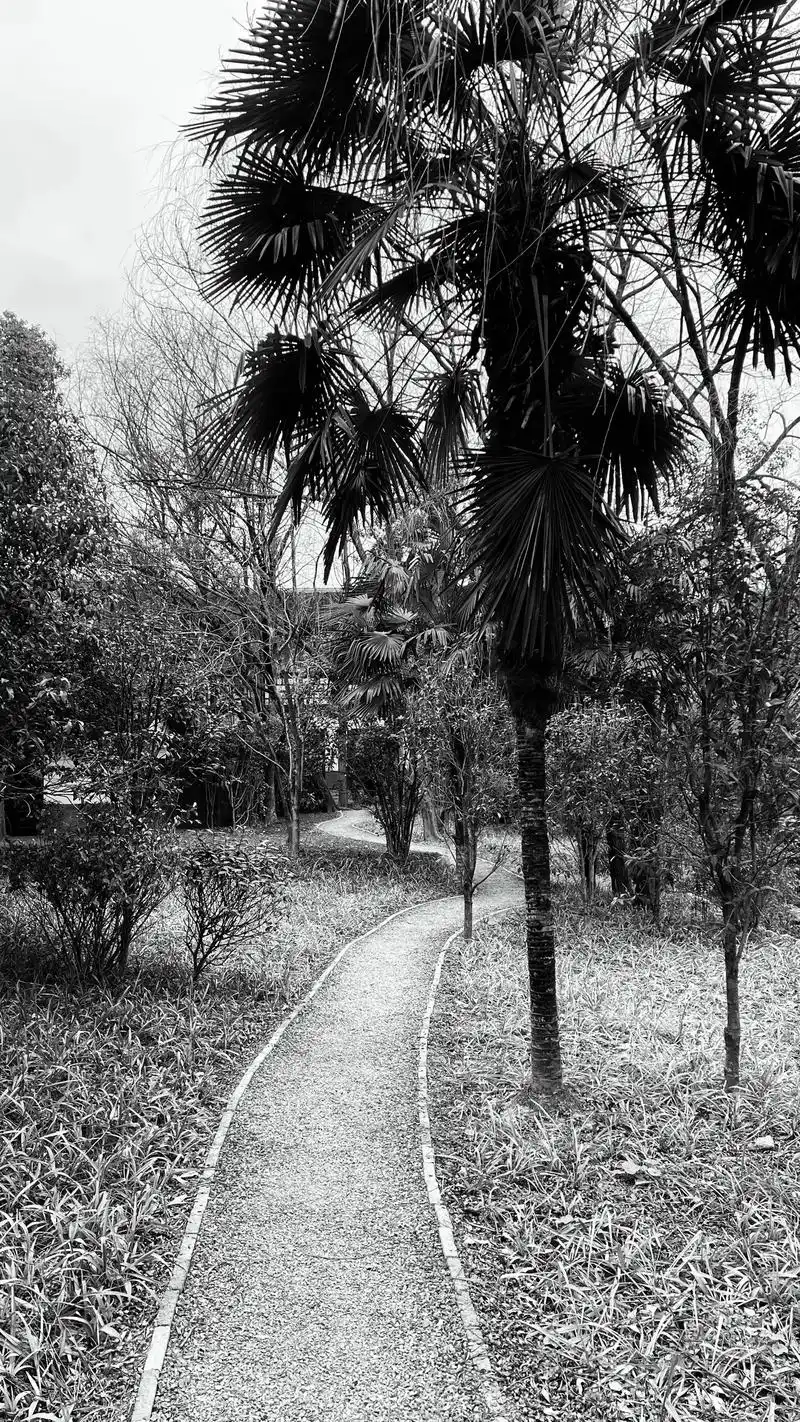 黑白摄影 #今日分享 #黑白系 #山野自然 #身边的风景 - 抖音