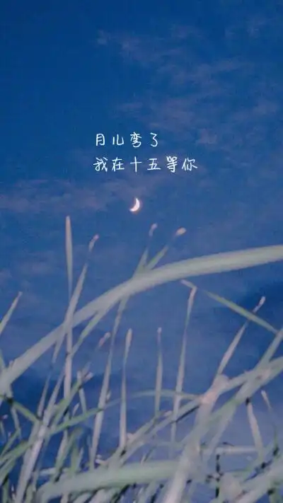 情侣背景图肥柴