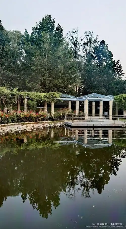 阳光星期八公园首发