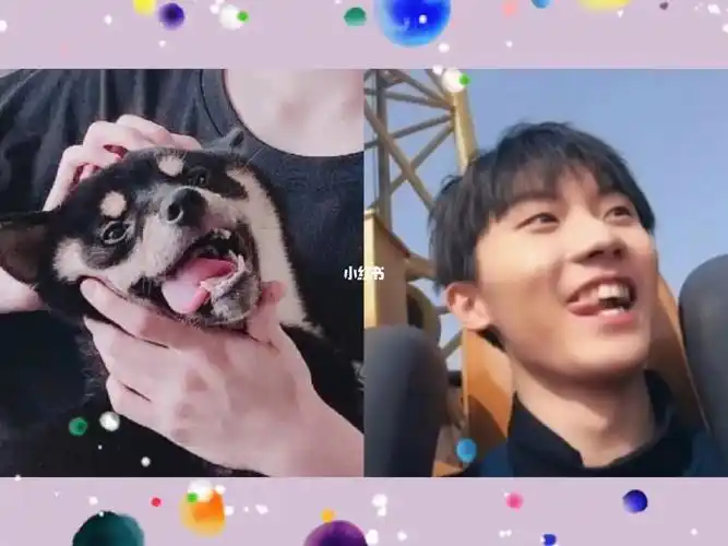 时代少年团马嘉祺  #马嘉祺  #马嘉祺柴六斤