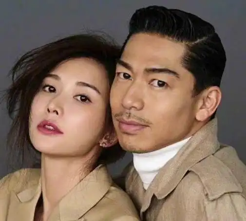 林志玲老公回应拼二胎不是想生就能生