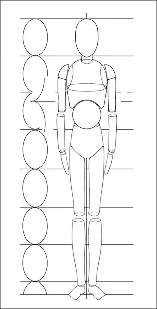 第52课全身比例不同年龄