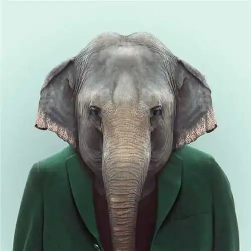 抖音兽头人身潮图头像图片