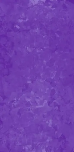 紫色纯色壁纸