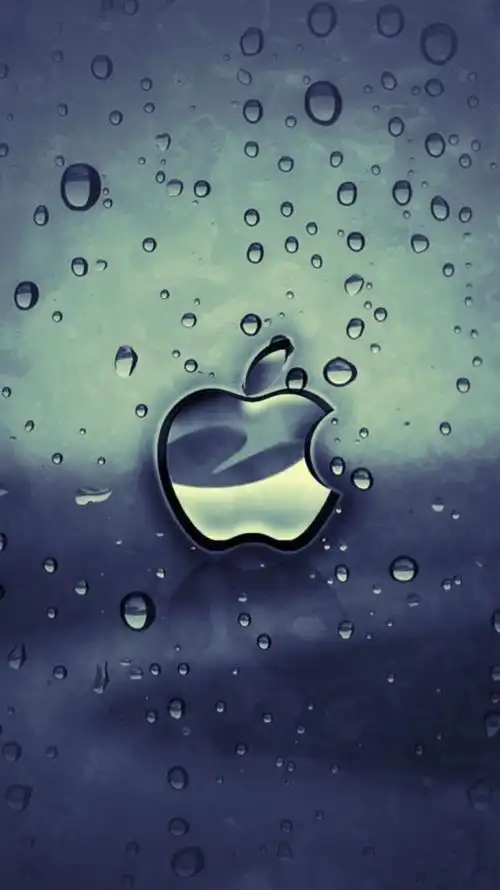 iphone内置 图标 书架 主屏 锁屏 套图 主题 背景