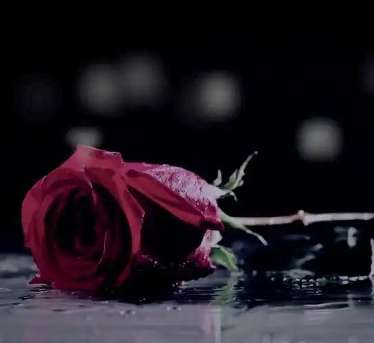 比悲伤更悲伤的故事