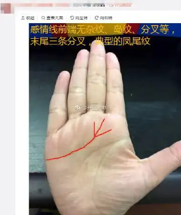感情线末端分叉都是不好的预兆,但如果你手上的感情线末端分三叉的话
