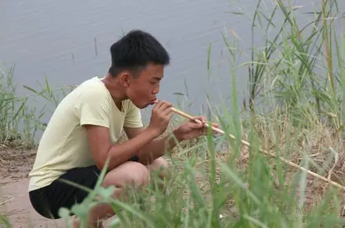 《百鸟朝凤》小黑马郑伟 与陶泽如共拼实力演技