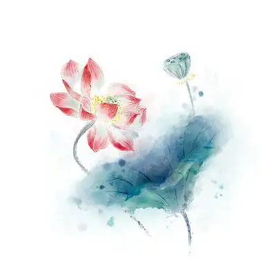 水墨荷花元素莲花莲蓬植物水彩手绘中国风古风国画png透明插画