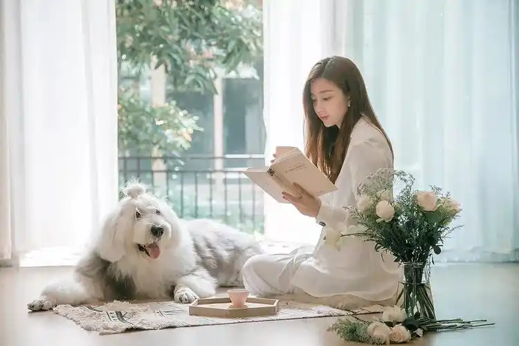 北欧混搭木栖之韵,一进门就被美到了