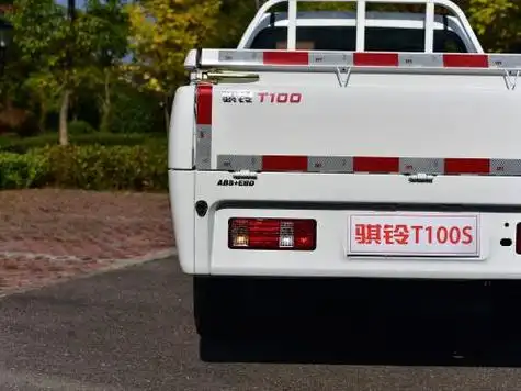 【骐铃t100】骐铃汽车_骐铃t100报价_骐铃t100图片_之