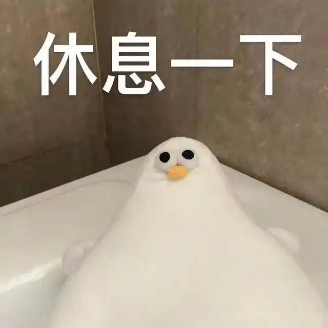 可爱搞笑的表情包:一直熬夜一直爽