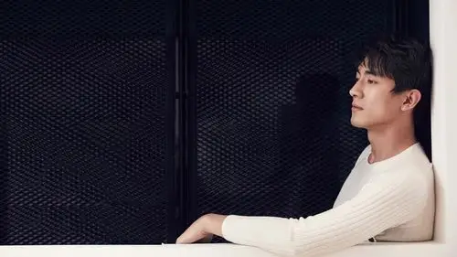 明星大陆林更新明星风尚壁纸