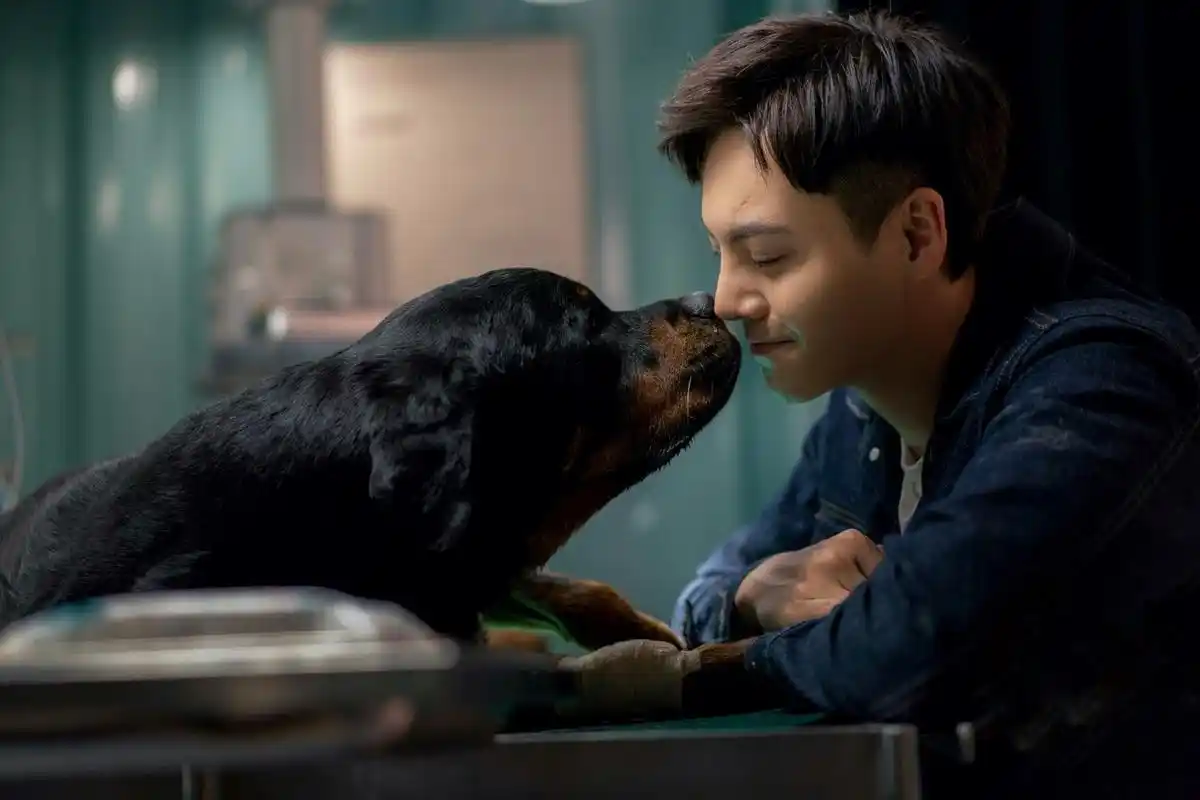 电影《宠爱》陈伟霆和钟楚曦的这个片段应该是看了电影后让人印象极为