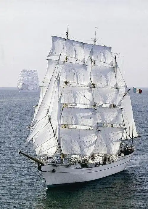72m. 帆型: 三桅帆船(barque 3). 建造: 1982. 母港:阿卡普尔科.