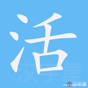 活的笔顺活字怎么写附笔顺动画