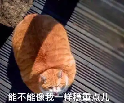 十只橘猫九只胖,还有一只压垮炕,大橘为重,大橘已定,橘足轻重,橘座