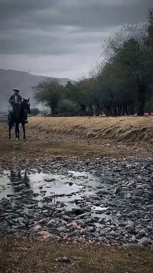 "中国蜜糖"泽旺(ze wang):赏金猎人来了