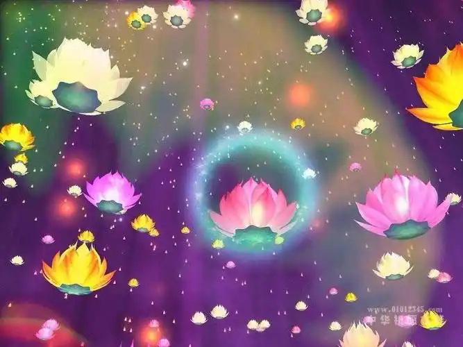 "找一找"七宝池里可有您的莲花?