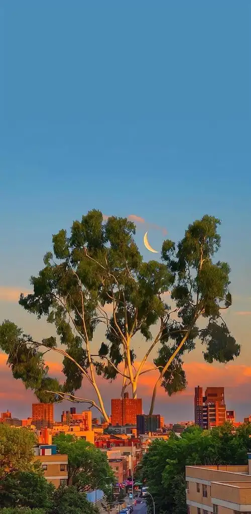 高清风景治愈系手机壁纸