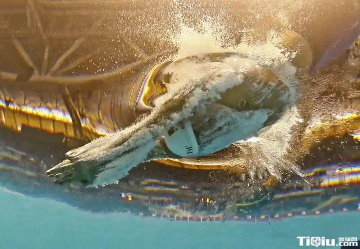 主页 综合体育 游泳 > 世锦赛宁泽涛100自进决赛 亚洲历史第一人