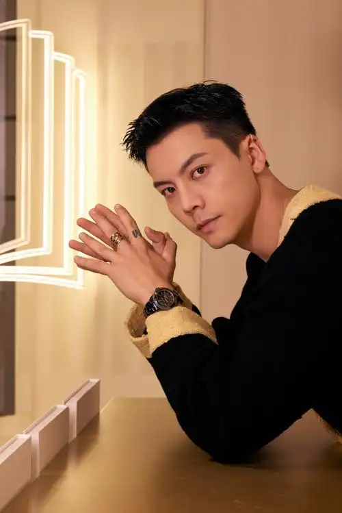 陈伟霆的耳骨夹