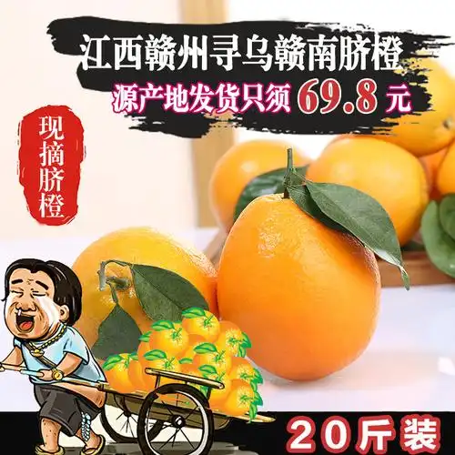 【现货】赣南黄脐橙榨汁橙子20斤新鲜水果包邮